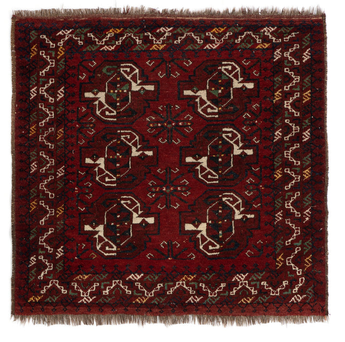 Afghan